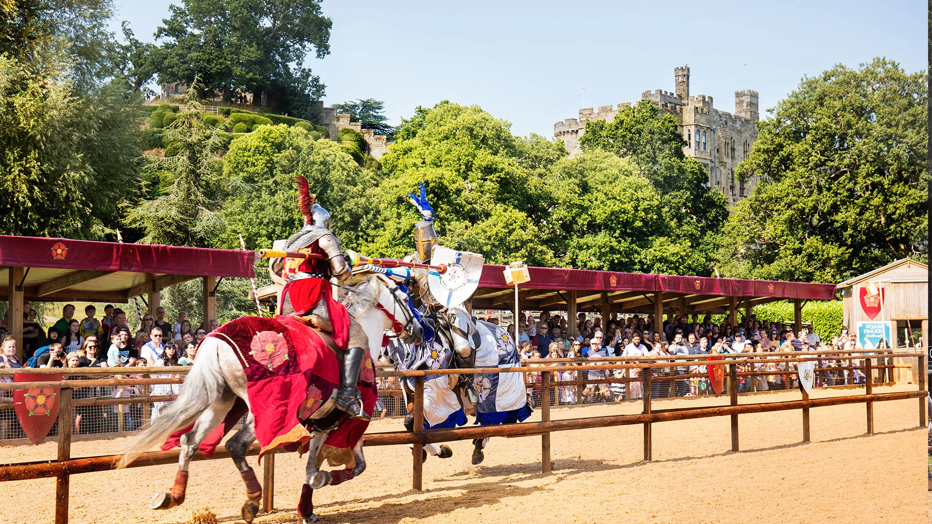Wars Of The Roses Jousting