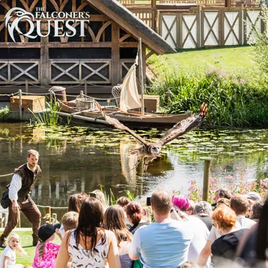 Falconer's Quest