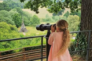 Castle Views